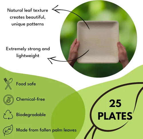 Vista 3 de Platos cuadrados de hoja de palmera – Platos similares al bambú, ecológicos, desechables, compostables y biodegradables para bodas, fiestas