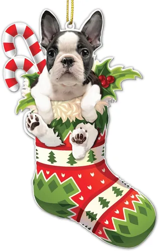 Vista 15 de Adorno acrílico plano de Navidad para perro de montaña bernés, adorable cachorro de montaña bernés en calcetín con bastones de caramelo, decoración