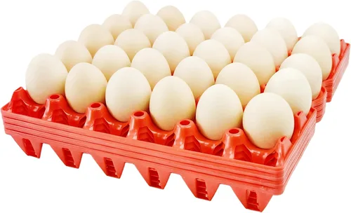 Vista 8 de Paquete de 4 cajas de plástico para huevos, 30 huevos planos, apilables, duraderas, reutilizables, color verde