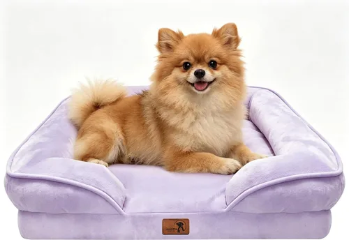 Vista 72 de Spotted Play Cama ortopédica para perros con lados, sofá cama para perros pequeños, sofá cama de espuma de apoyo para mascotas con funda extraíble
