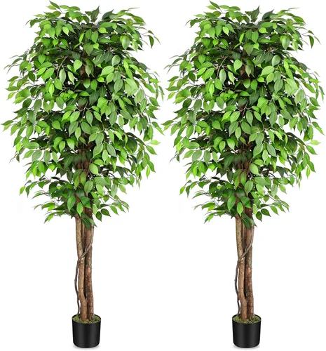 Vista 11 de Árboles artificiales de ficus de 3 pies con troncos naturales curvados, árbol exuberante de 36" de altura, árbol falso de ficus realista en verde