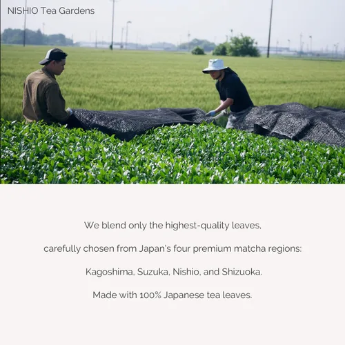 Vista 6 de TAKENAKAEN SASHICHI - Polvo de matcha japonés "Kouun no Shiro" grado ceremonial de 1.06 oz, grado premium, fabricado en Japón