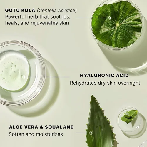 Vista 5 de Hidratante de ácido hialurónico para la cara, fabricado en Estados Unidos con ingredientes orgánicos y naturales, hidratante antienvejecimiento