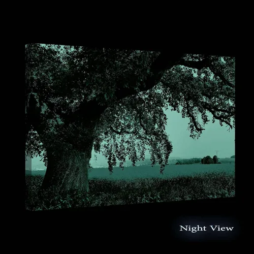 Vista 2 de Startonight Lienzo decorativo con motivo de árbol, paisaje abstracto, lago, naturaleza, bosque, negro y blanco, Lona, Amarillo Verde, L
