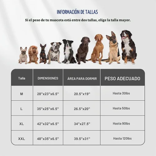 Vista 5 de FURTIME Cama Ortopédica para Perros para Perros Pequeños - Camas de Sofá para Perros Pequeños Lavables, Cama de Sofá de Espuma de Apoyo
