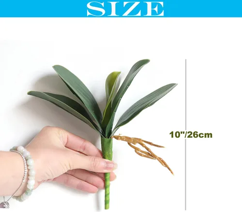 Vista 2 de Hoja artificial de orquídea Phalaenopsis, 5 hojas de orquídea de látex en tallo con raíces, hojas sintéticas para orquídea polilla artificial