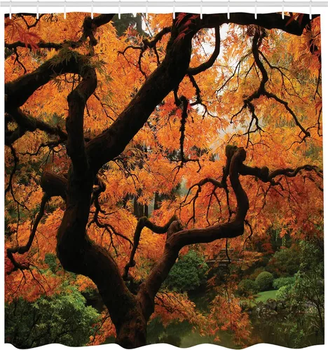 Vista 2 de Ambesonne Cortina de ducha japonesa, árboles de arce japoneses en la oscuridad profunda en el bosque, foto de ambiente bastante meditativo, juego