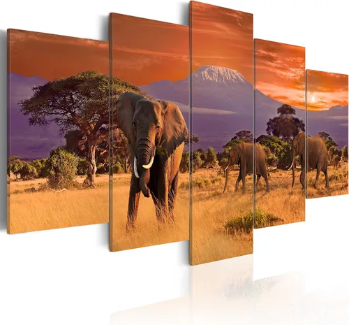 Vista 54 de artgeist Lienzo acústico para pared, diseño de África, 40 x 20 pulgadas, 5 piezas con impresión de sonido de espuma acústica, sala de arte de África