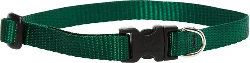 Vista 8 de LupinePet Basics - Collar ajustable rojo de 1/2 pulgadas, 10-16 pulgadas, para perros pequeños