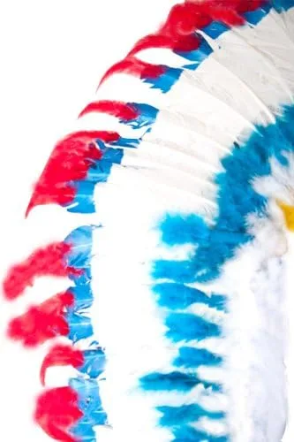 Vista 3 de Adultos de Indian Tocado de plumas Costume Set