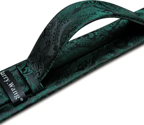 Vista 26 de Barry.Wang - Juego de corbata de seda para hombre, diseño de cachemira, pañuelo y gemelos de bolsillo