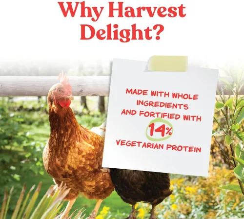 Vista 3 de Manna Pro Harvest Delight - Golosina para Pollos de Ingredientes Integrales - Mezcla Harvest de Granos, Pasas, Tomates, Zanahorias, Semillas