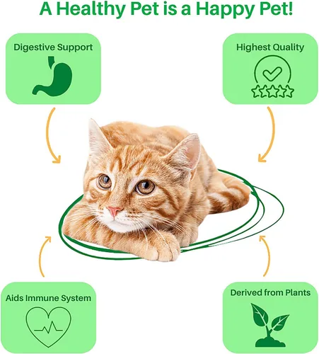 Vista 2 de Dr. Goodpet Enzimas digestivas felinas con probióticos y prebióticos - Polvo de apoyo digestivo diario para gatos - Promueve la digestión del gato
