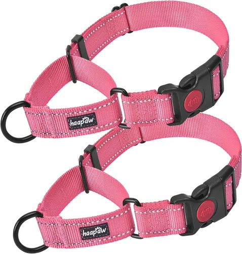 Vista 14 de Haapaw Collar de perro Martingala a prueba de escapes, beige, S