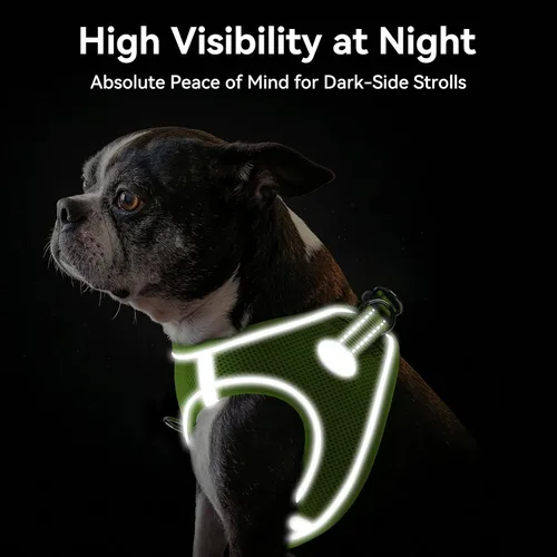 Vista 80 de Joytale Arnés para Perros Pequeños, Chaleco de Malla Transpirable Step-in, Arneses Acolchados Suaves Reflectantes para Gatos y Perros Cachorros