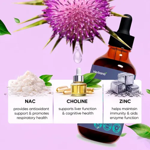 Vista 4 de Extracto líquido de ginseng rojo asiático y ginseng americano – Ginseng para energía, rendimiento cognitivo y enfoque – Tintura líquida
