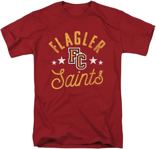 Vista 187 de Collegiate Distressed Mascot Unisex Adult T Shirt Collection 3 Universidad de Adelphi