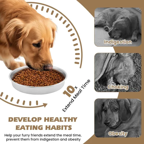 Vista 6 de Cuenco reversible para perros de alimentación lenta, plato de doble cara Plateado