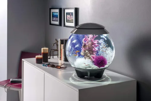 Vista 5 de BiOrb 46080.0 Kelp Set Acuarios Púrpura Medio