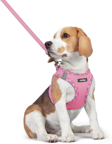 Vista 194 de rabbitgoo Arnés para perro de tamaño pequeño y juego de correa, chaleco Cachorros de manzana