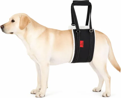 Vista 10 de Arnés de elevación para perros – Arnés ajustable para patas traseras con soporte suave para perros mayores, lesionados y discapacitados después
