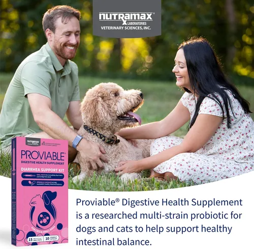 Vista 3 de Nutramax Probióticos proviables para perros y gatos pequeños, kit de apoyo para la diarrea, suplemento de salud digestiva con múltiples cepas