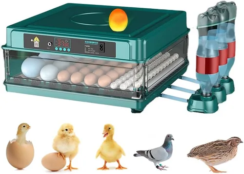 Vista 7 de Incubadora automática de huevos de 12 a 38 huevos digital con giro automático de huevos, control de temperatura y humedad, iluminación LED eficiente