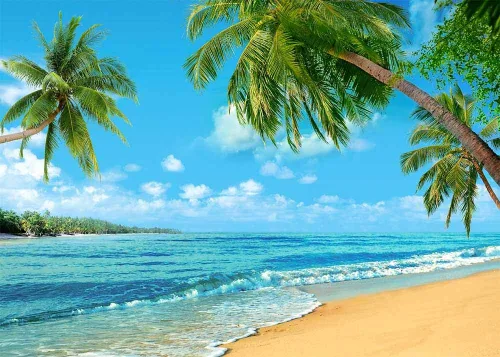 Vista 7 de Fondo tropical de verano para fotografía de palmera o playa de Hawaii, 7 x 5 pies, cielo marino azul, sol, Luau, fiesta, fondo de foto, boda, novia