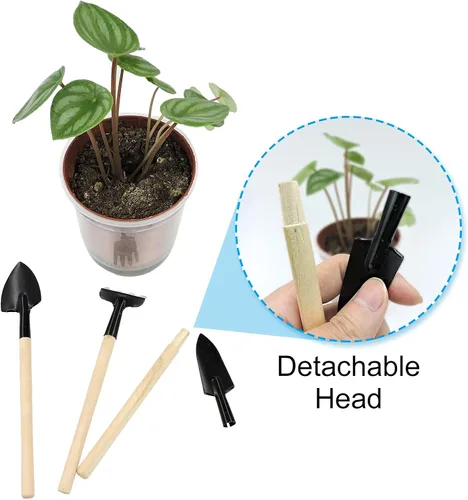Vista 2 de Andiker Mini herramientas de jardinería, juego de 3 herramientas de mano de jardín portátiles, rastrillo de jardinería en miniatura paleta y pala
