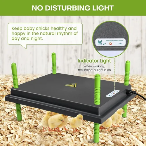 Vista 8 de Placa calefactora para pollitos, placa calefactora más cálida de 12 x 16 pulgadas para pollitos con altura ajustable, placa de calefacción