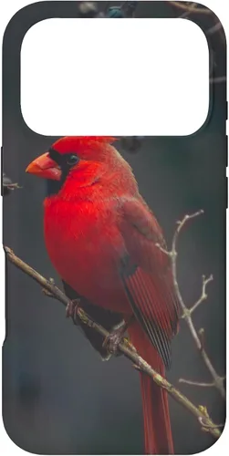 Vista 30 de Funda para iPhone 16 Cardinal Bird