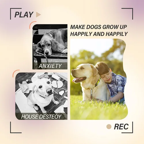 Vista 5 de ptlsy Lanzador automático de bolas para perros, lanzador interactivo para cachorros de interior para perros pequeños y medianos, 3 bolas incluidas