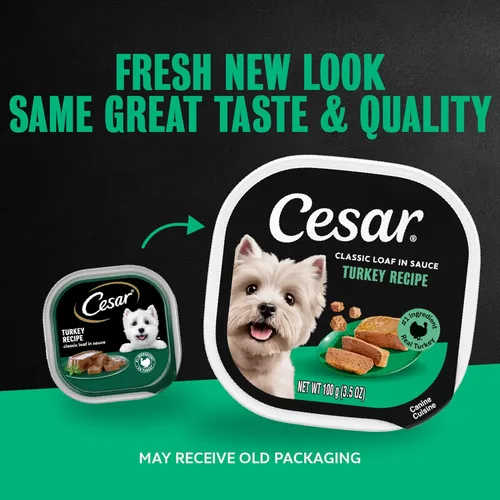 Vista 15 de Cesar Classic Loaf in Sauce - Alimento húmedo para perros adultos, sabor a tocino y huevo, comida húmeda para perros, bandejas fáciles de despegar
