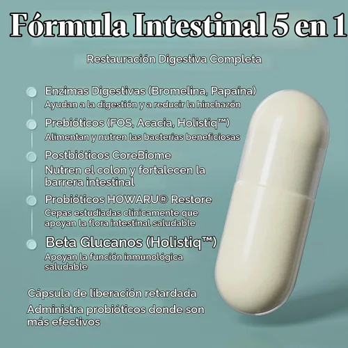 Vista 3 de BIOMA Suplemento de probióticos digestivos y reparadores intestinales (60 cápsulas, suministro para 1 mes)