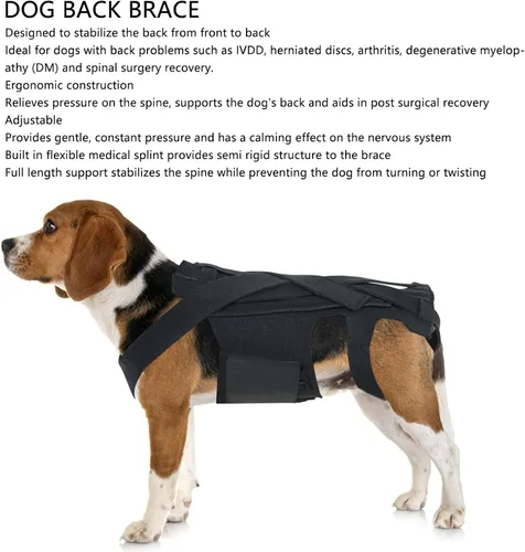 Vista 2 de Soporte de espalda para perro, chaleco de apoyo para la espalda de mascotas para perros salchicha, corgis y otros perros, artritis IVDD, hernia