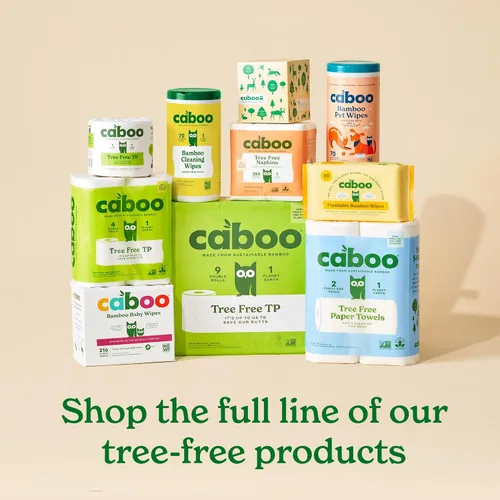 Vista 9 de Caboo Cuencos desechables de papel de bambú, paquete de 125 cuencos biodegradables resistentes de 14 onzas, cuenco compostable, cuenco de fiesta