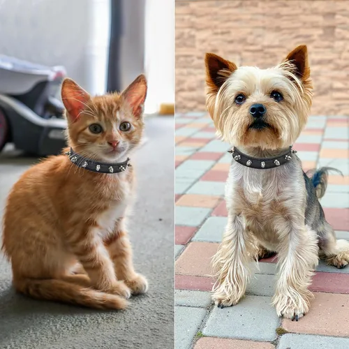 Vista 4 de Enjoying Spike - Collar de gato con púas para perros extra pequeños a pequeños, protector antimordeduras, collar de piel sintética con anillos