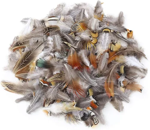Vista 3 de Ballinger - Plumas naturales surtidas para manualidades, 180 unidades, 9 estilos Small Real Pheasant Bird Feathers for DIY Crafting,Jewelry,Dream