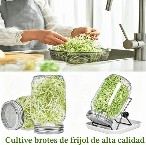 Vista 3 de Lulonpon Juego de 2 tarros para cultivar brotes, tarros de boca ancha de un cuarto de galón con tapas de germinación de pantalla de acero