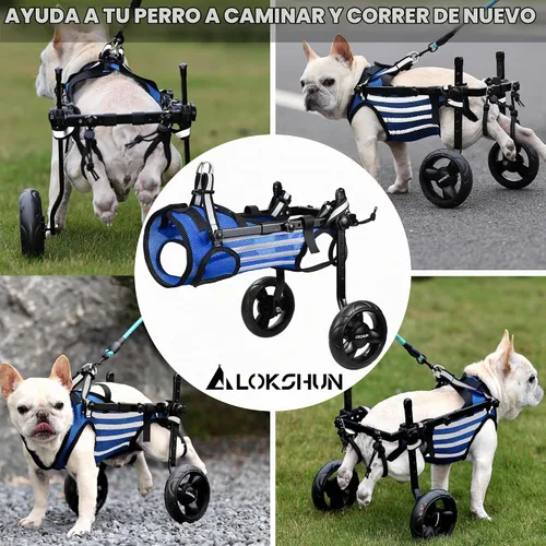 Vista 8 de Silla de ruedas para perros mejorada 2025 para patas traseras, silla de ruedas pequeña para perros con patas traseras discapacitadas, carritos