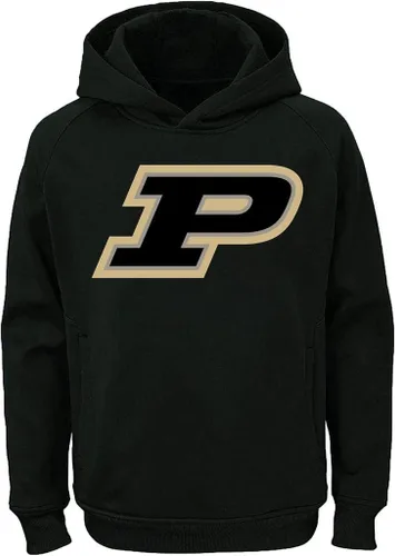 Vista 21 de NCAA Youth 8-20 Team Color Performance Primary Logo Sudadera con capucha Aburn Tigers Armada