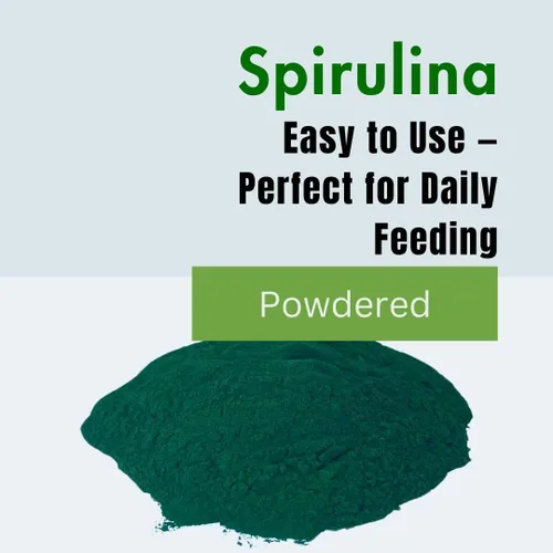 Vista 6 de PINETA Spirulina en polvo orgánico 7.05 oz – Suplemento de espirulina para aves canarias y granívoras – 100% natural, suplemento de apoyo