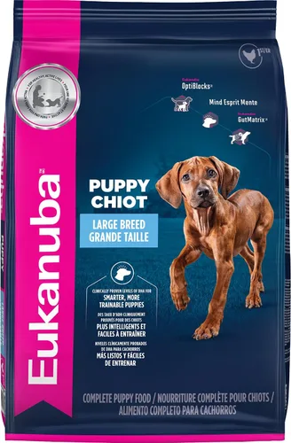 Vista 16 de Comida seca para perro, Eukanuba Puppy, Cachorro de raza grande