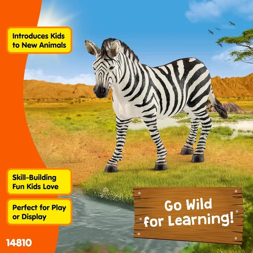 Vista 4 de Schleich Wild Life - Figura de cebra femenina realista – Juguete auténtico y altamente detallado de animales salvajes, duradero para la educación