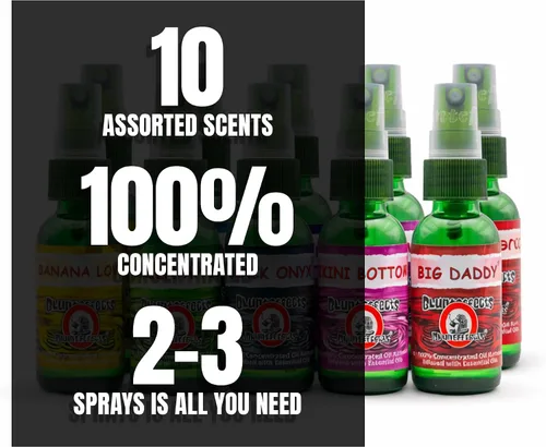 Vista 4 de Blunteffects Ambientador 100% concentrado para coche/hogar en aerosol (5 aromas surtidos) (paquete de 10)