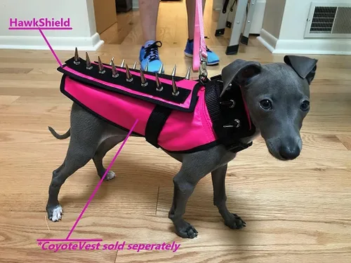 Vista 2 de HawkShield - Almohadilla para CoyoteVest o chaleco de espigas, chaleco de arnés protector para perro, complemento para proteger a tu mascota de aves