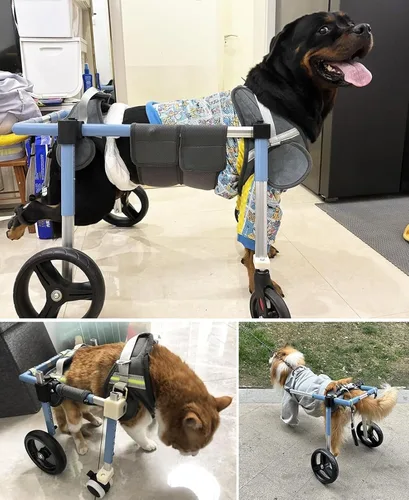 Vista 7 de Silla de ruedas de perro de 4 ruedas para patas delanteras y traseras, para todas las razas de perros, cinta de correr de apoyo completo, ajustable
