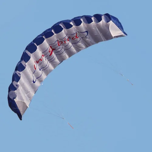 Vista 5 de GZYF - Cometa de tracción de doble línea, entrenamiento de surf, cometa y paracaídas Azul