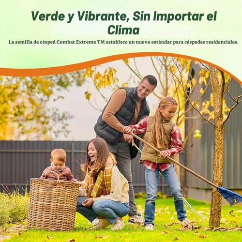 Vista 5 de Outsidepride Combat Extreme Northern Zone – 10 libras resistente al frío, resistente a la sequía, tipo festuca alta y mezcla de semillas de césped