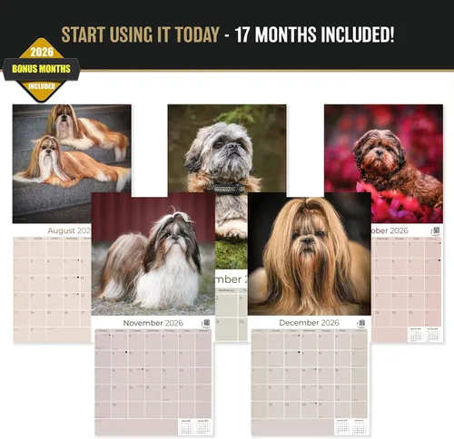 Vista 3 de Razas de Perros 2017 Shih Tzu
